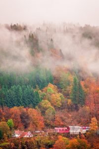 Hillside homes in Bergen in autumn